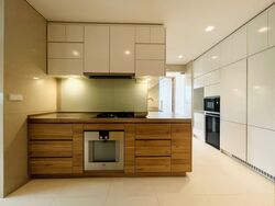 Skyline @ Orchard Boulevard (D9), Apartment #541065161